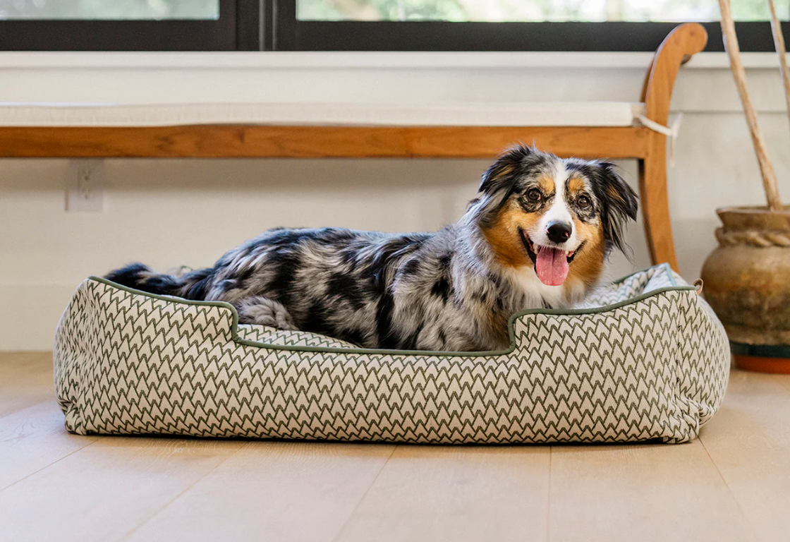 PLAY Vineyard Collection Olive Green dog bed - lounge style with dog