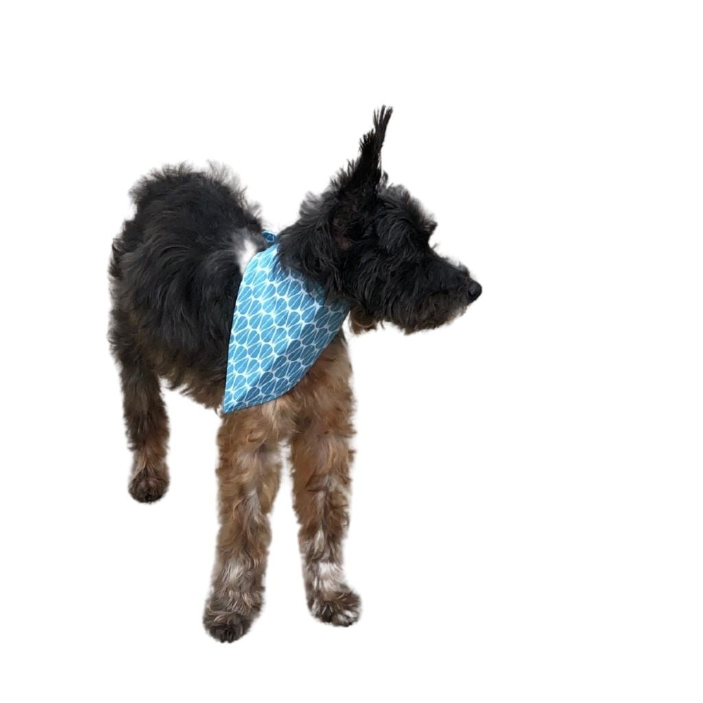 Paws United Summer Breeze Dog Bandana