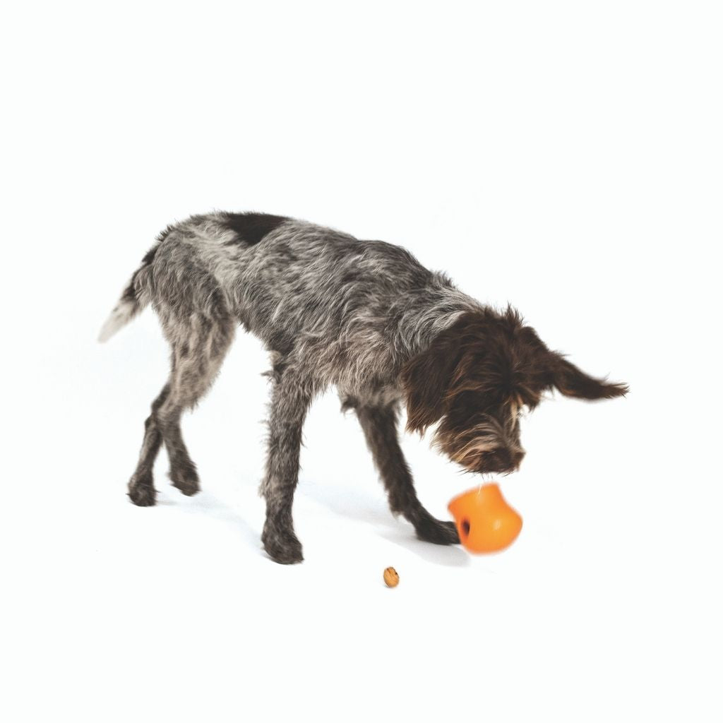 West Paw Toppl Dog Toy orange 2