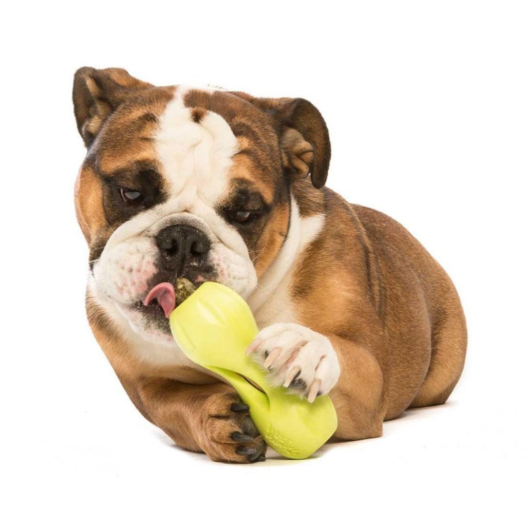 West Paw Qwizl Dog Toy 5