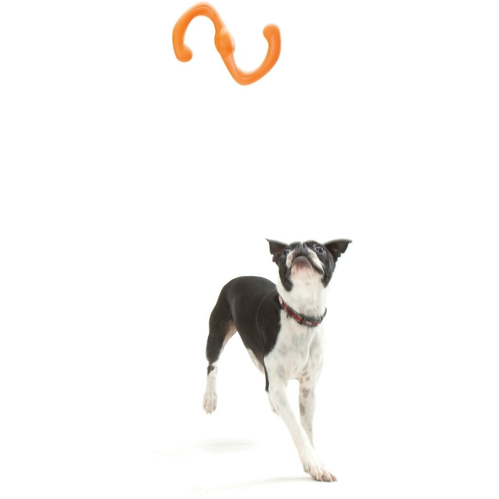West Paw Bumi Dog Toy orange 4