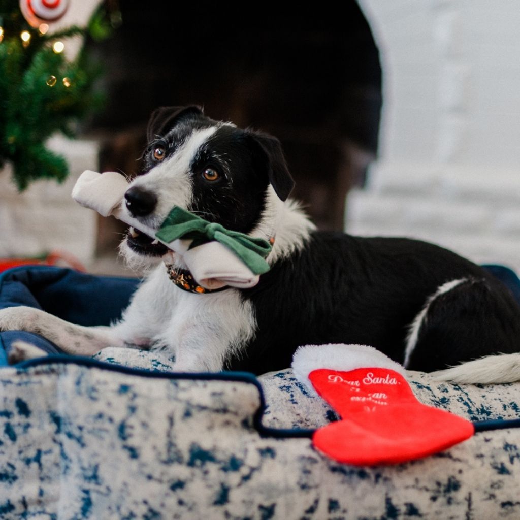 P.L.A.Y. Merry Woofmas Good Dog Holiday Stocking Dog Toy 4