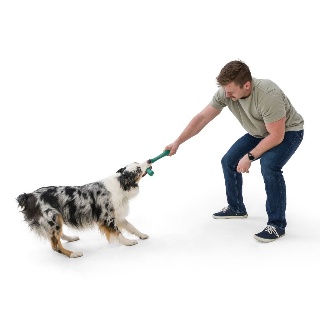 West Paw Snorkl Seaflex Dog Toy