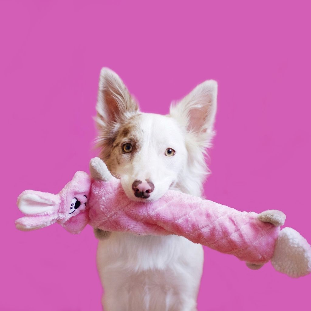 ZippyPaws Jigglerz Stuffless Dog Toy Pink Bunny 2