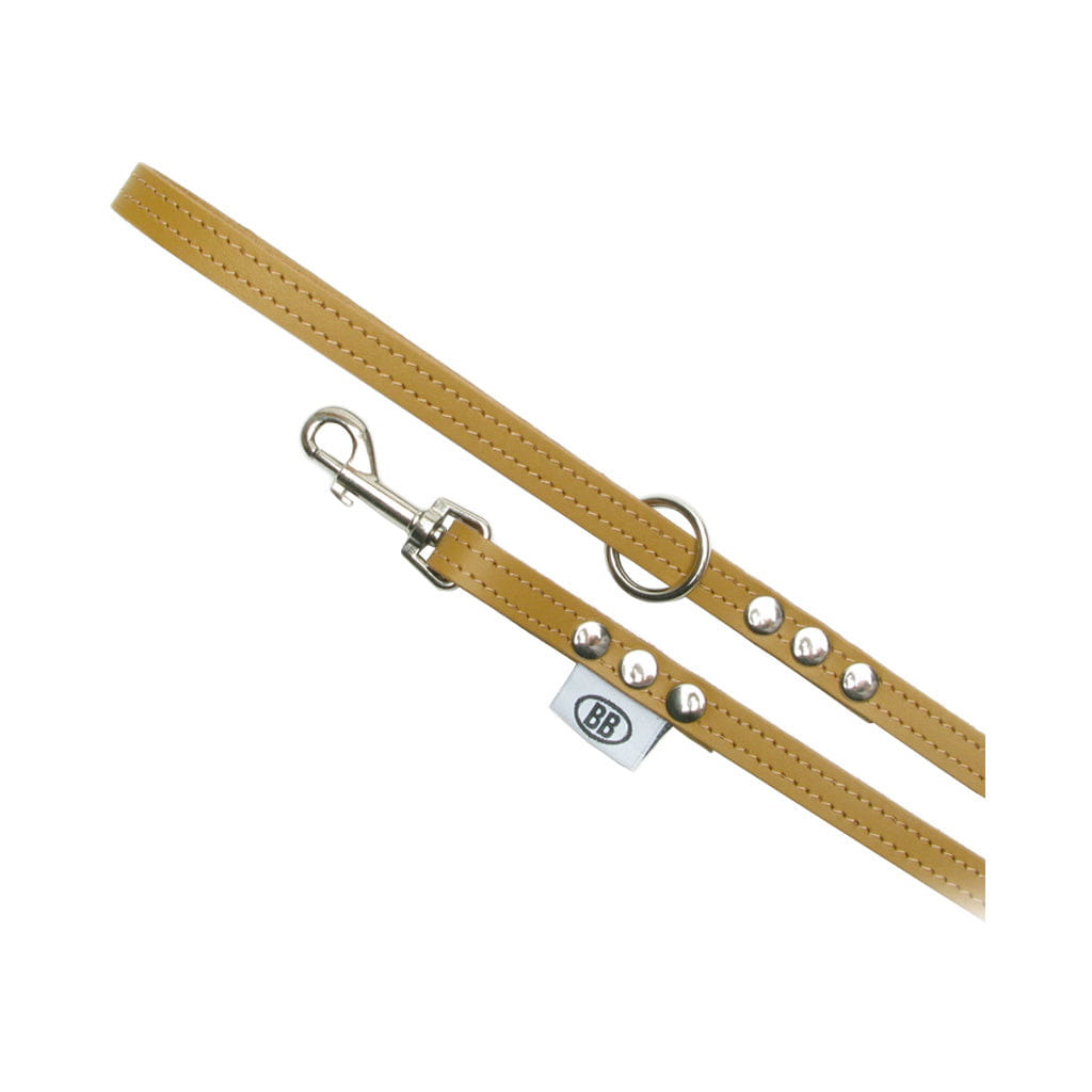 Buddy Belts Premium Leash