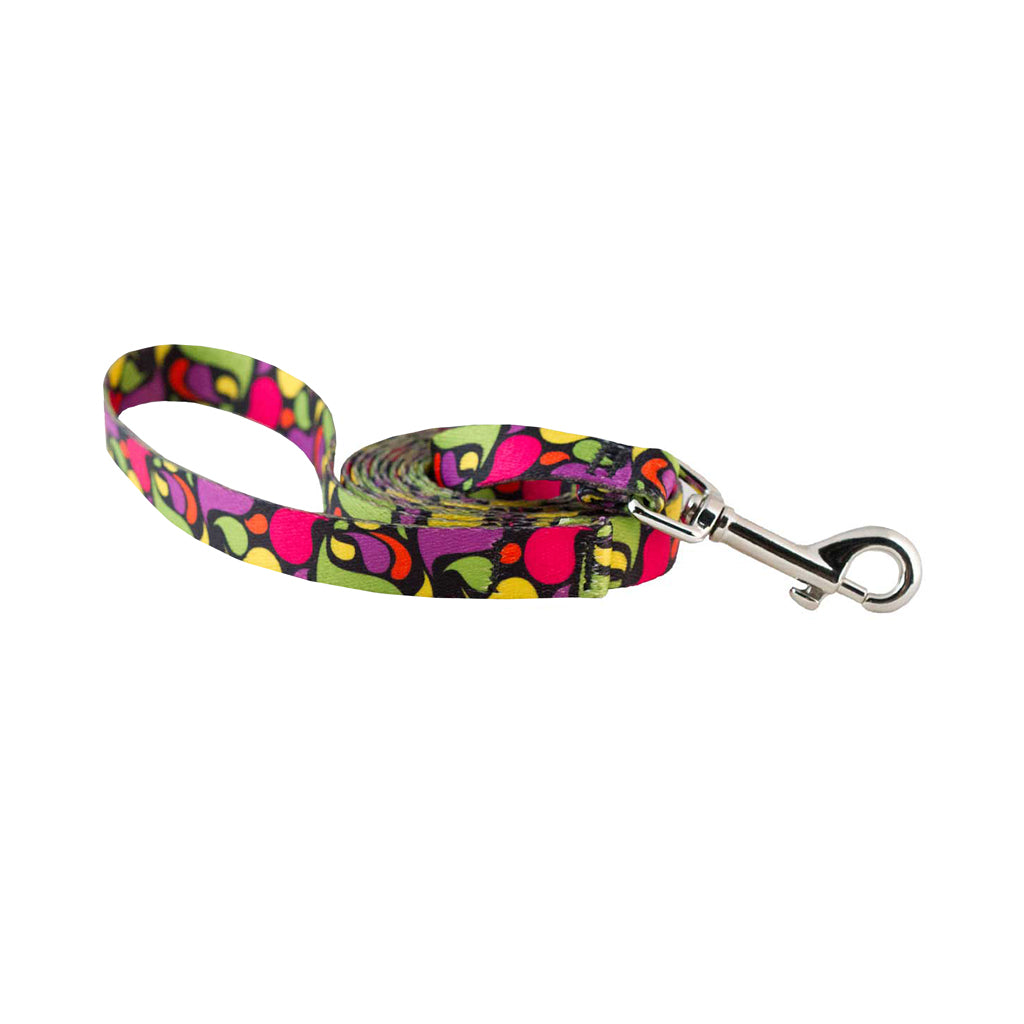Cycle Dog Ecoweave Leash 5