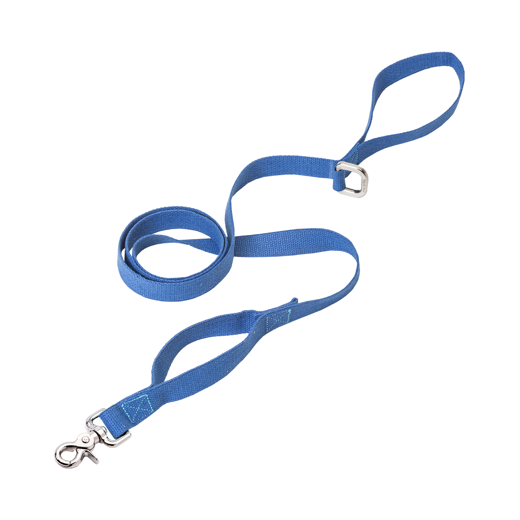 West Paw Strolls Dog Leash Blue