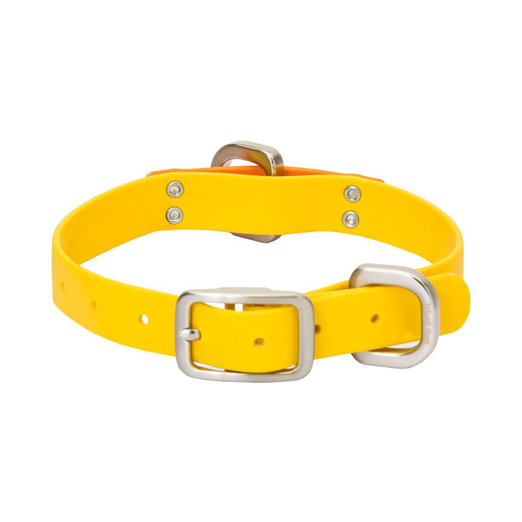 West Paw Jaunts Dog Collar Yellow