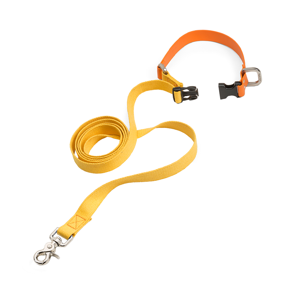 West Paw Jaunts Comfort Grip Dog Leash Yellow
