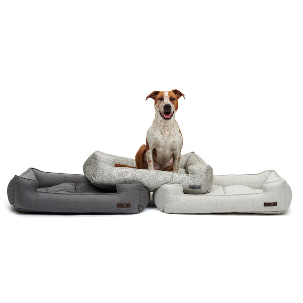 A happy dog sitting on top of Jax and Bones dog beds