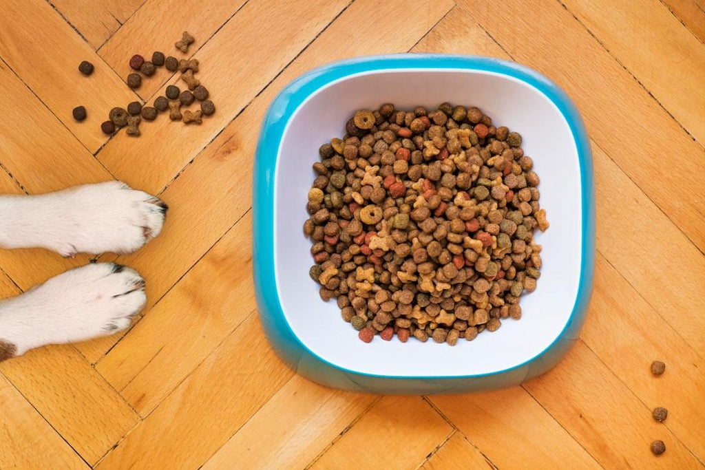 Grain Free Dog Food: A Comprehensive Guide for Pet Owners