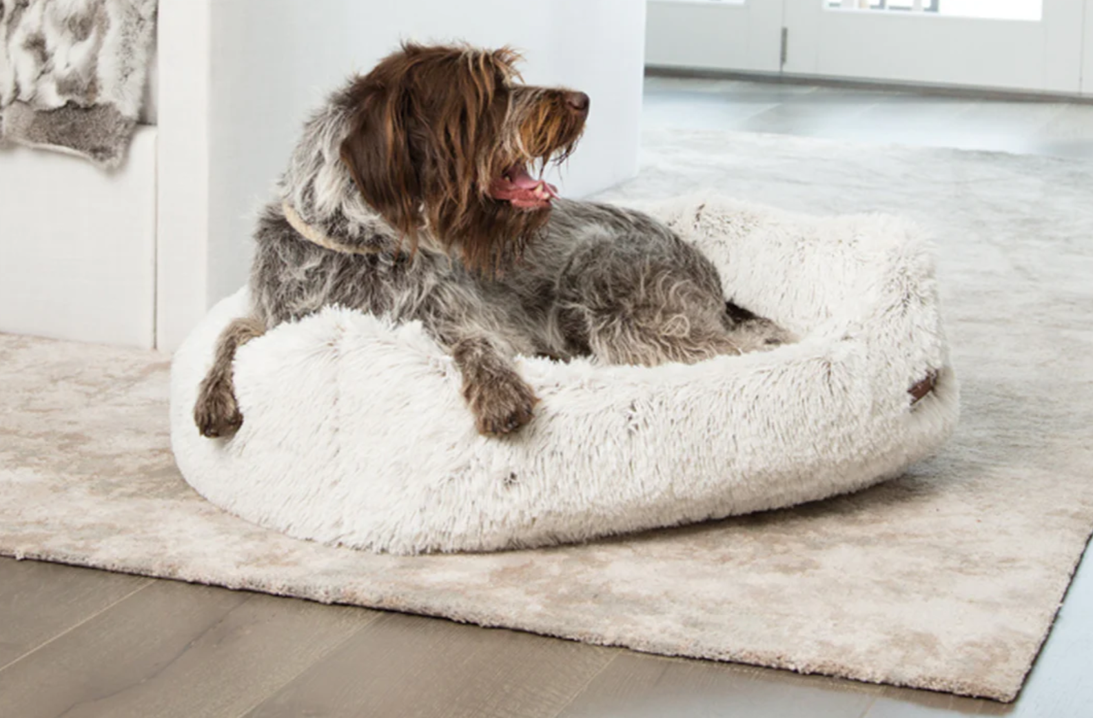 Jax and bones napper bed hot sale