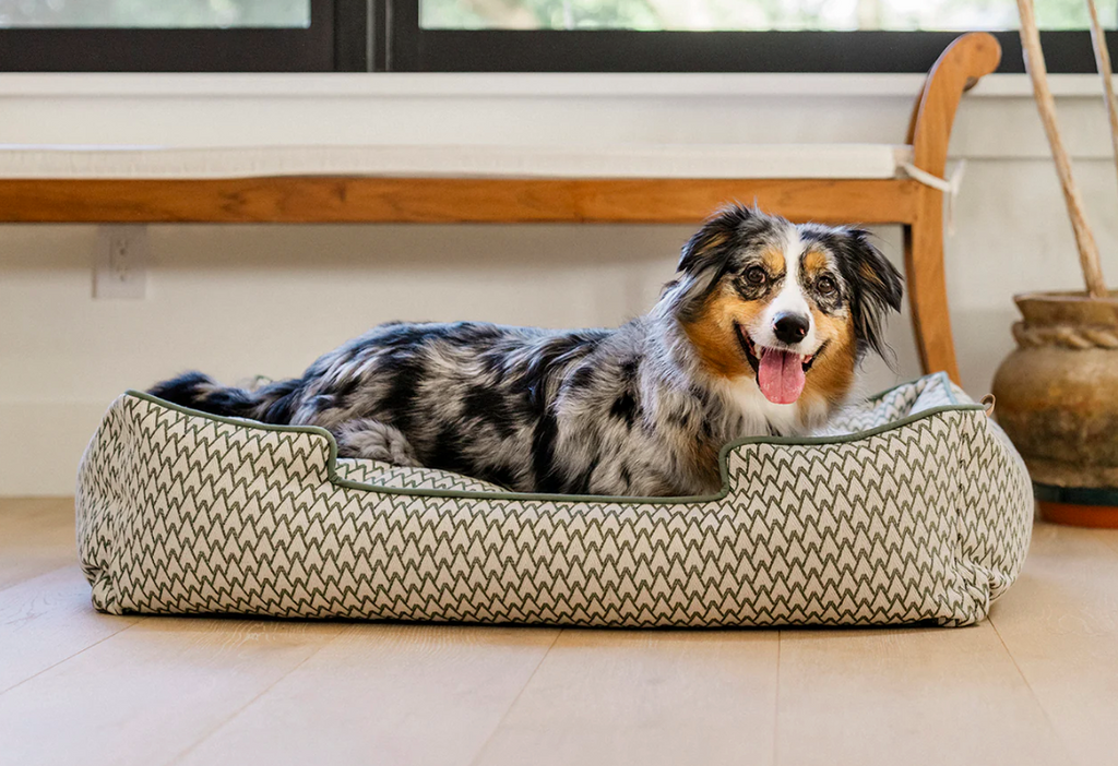 PLAY Vineyard Collection Olive Green dog bed - lounge style with dog 