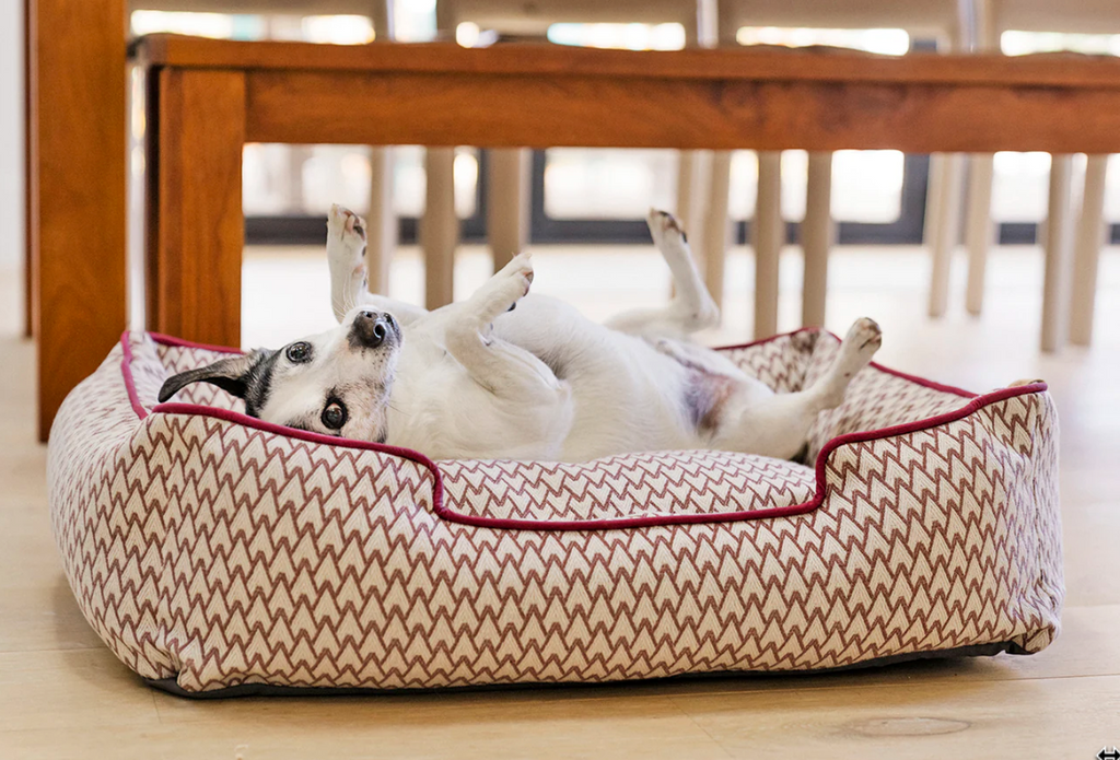 PLAY Vineyard Collection Cabernet Red dog bed - lounge style with dog