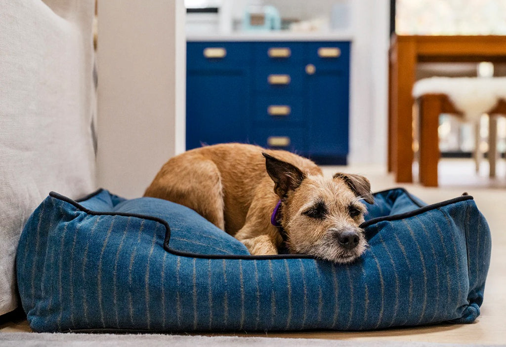 PLAY Pet Products Manhattan Chelsea dog bed