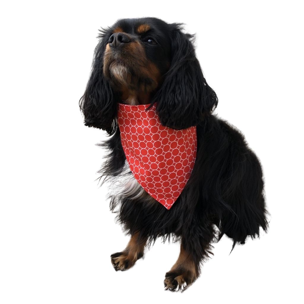 Paws United Summer Love Dog  Bandana