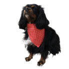 Paws United Summer Love Dog  Bandana