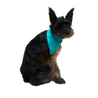 Sea Blue Dog Bandana