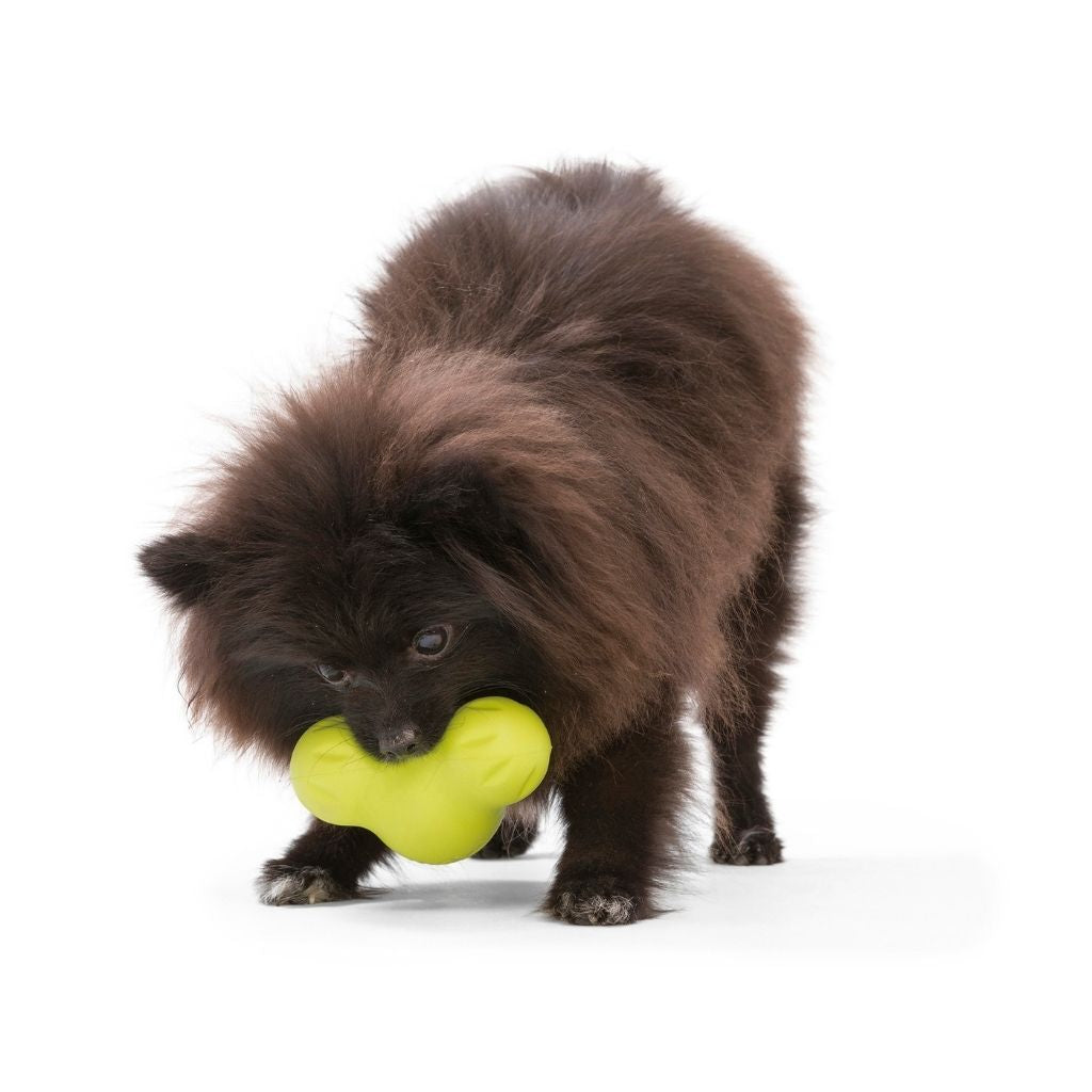 West Paw Tux Dog Toy 4