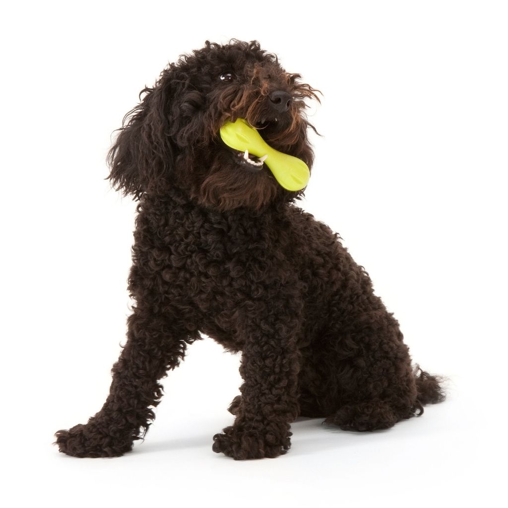 West Paw Hurley Dog Toy 2