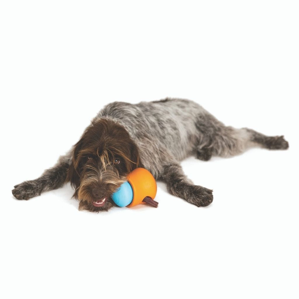 West Paw Toppl Dog Toy 7