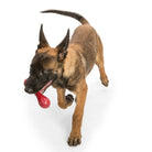 West Paw Holiday Hurley Dog Toy 2