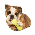 West Paw Qwizl Dog Toy 5