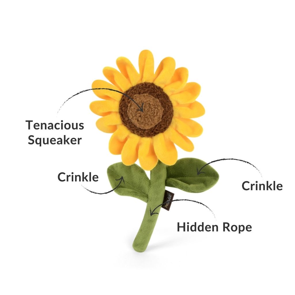P.L.A.Y. Blooming Buddies Dog Toy 5 Piece Set sassy sunflower