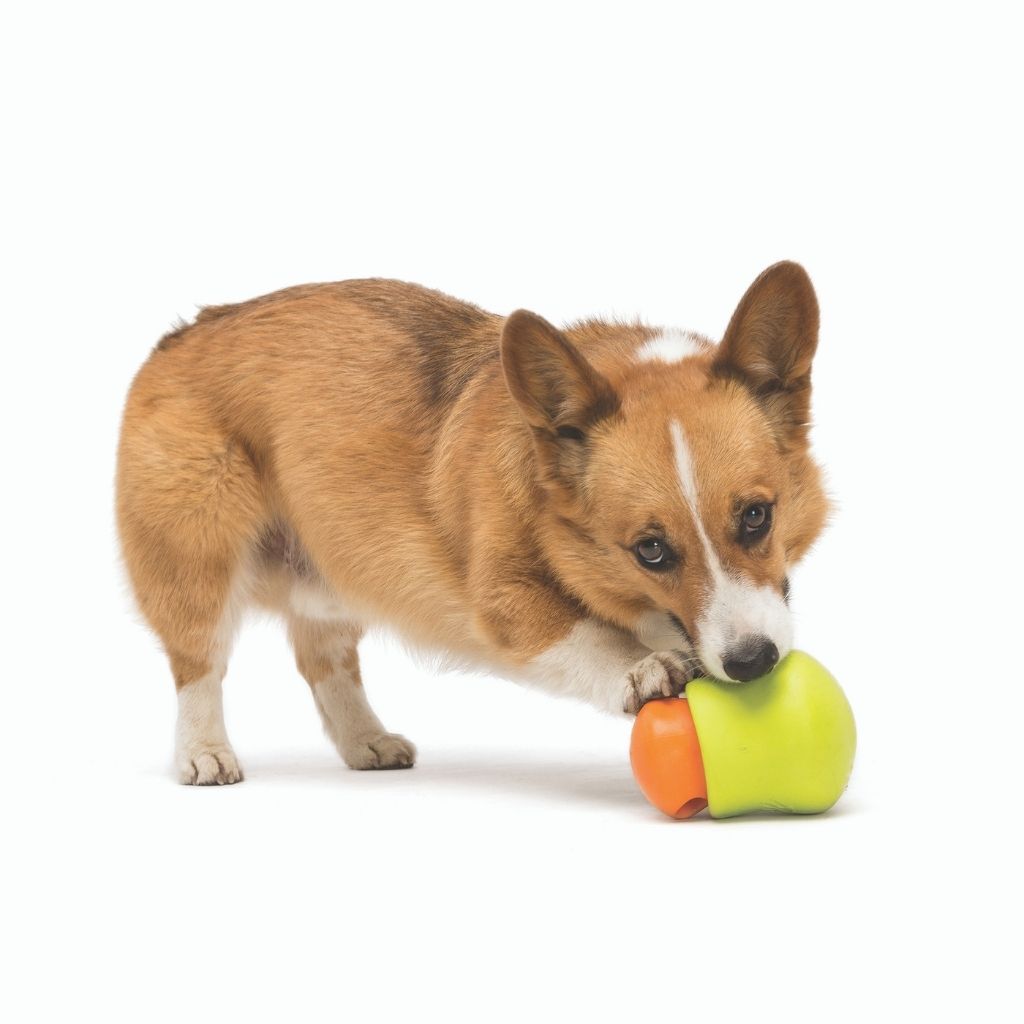 West Paw Toppl Dog Toy 5