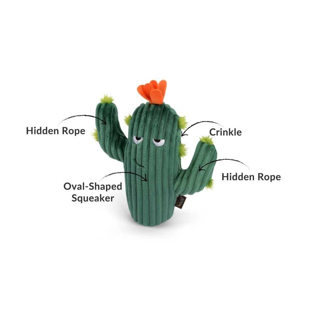 P.L.A.Y. Blooming Buddies Dog Toy 5 Piece Set prickly pup cactus