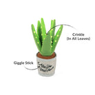 P.L.A.Y. Blooming Buddies Dog Toy 5 Piece Set aloe yo ve plant