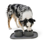 West Paw Seaflex Doggie Placemat Gray 3