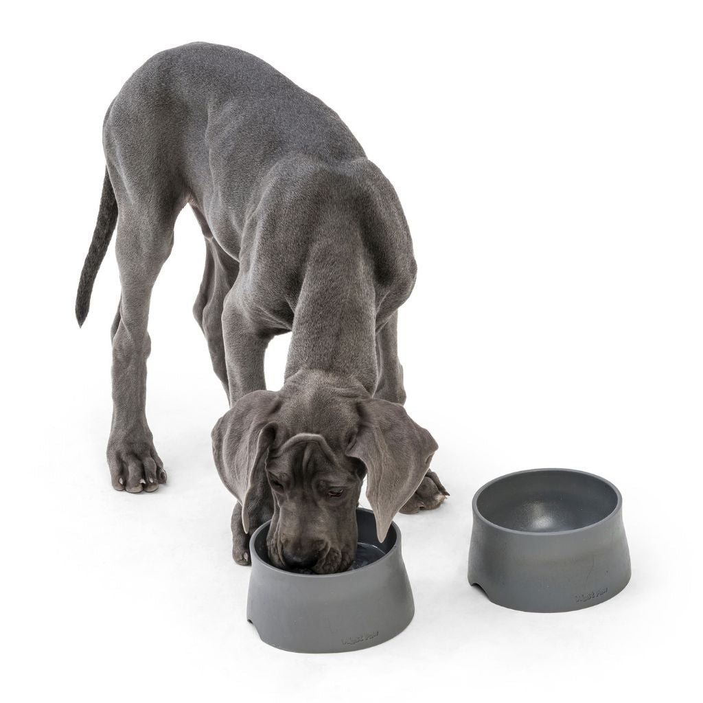 West Paw Seaflex No-Slip Dog Bowl Gray 2
