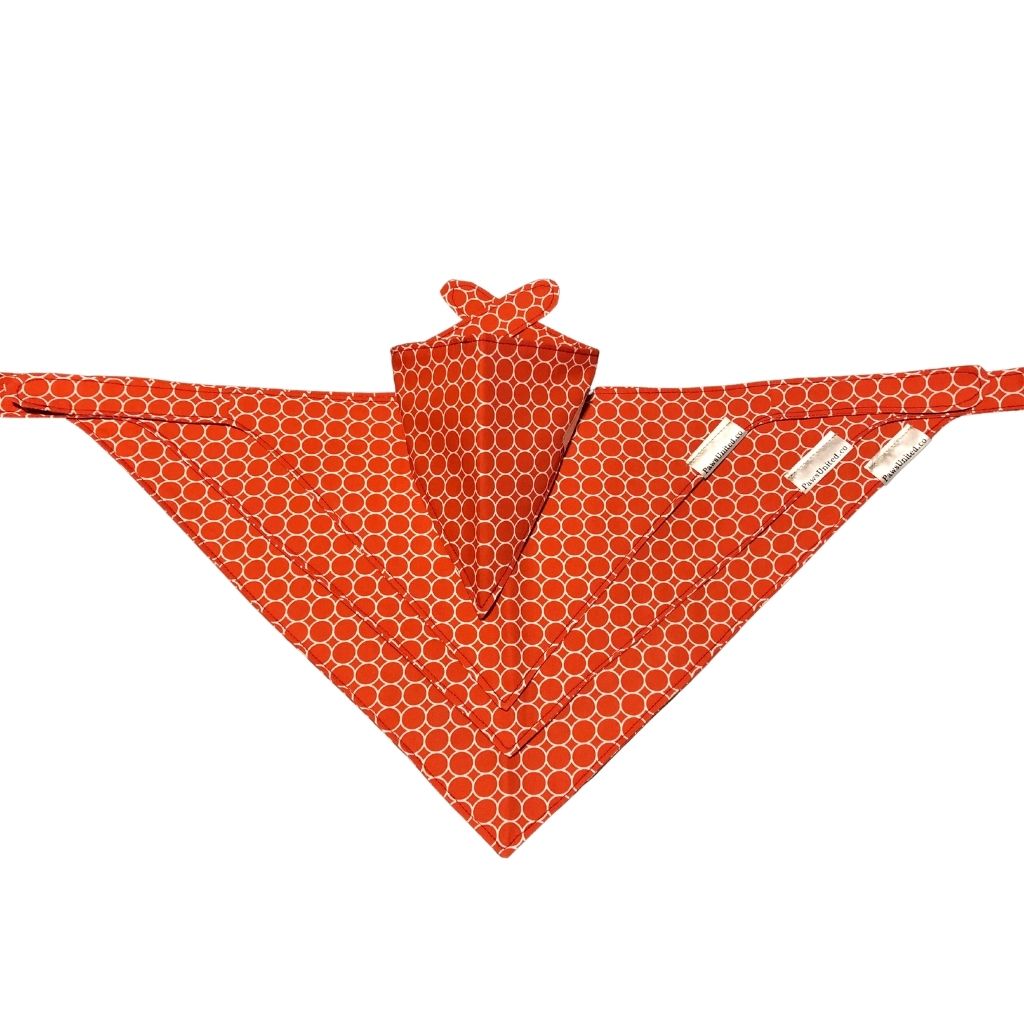  Dog and Cat Bandana