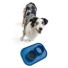 West Paw Seaflex Doggie PlacematWest Paw Seaflex Doggie Dog Placemat Blue 4