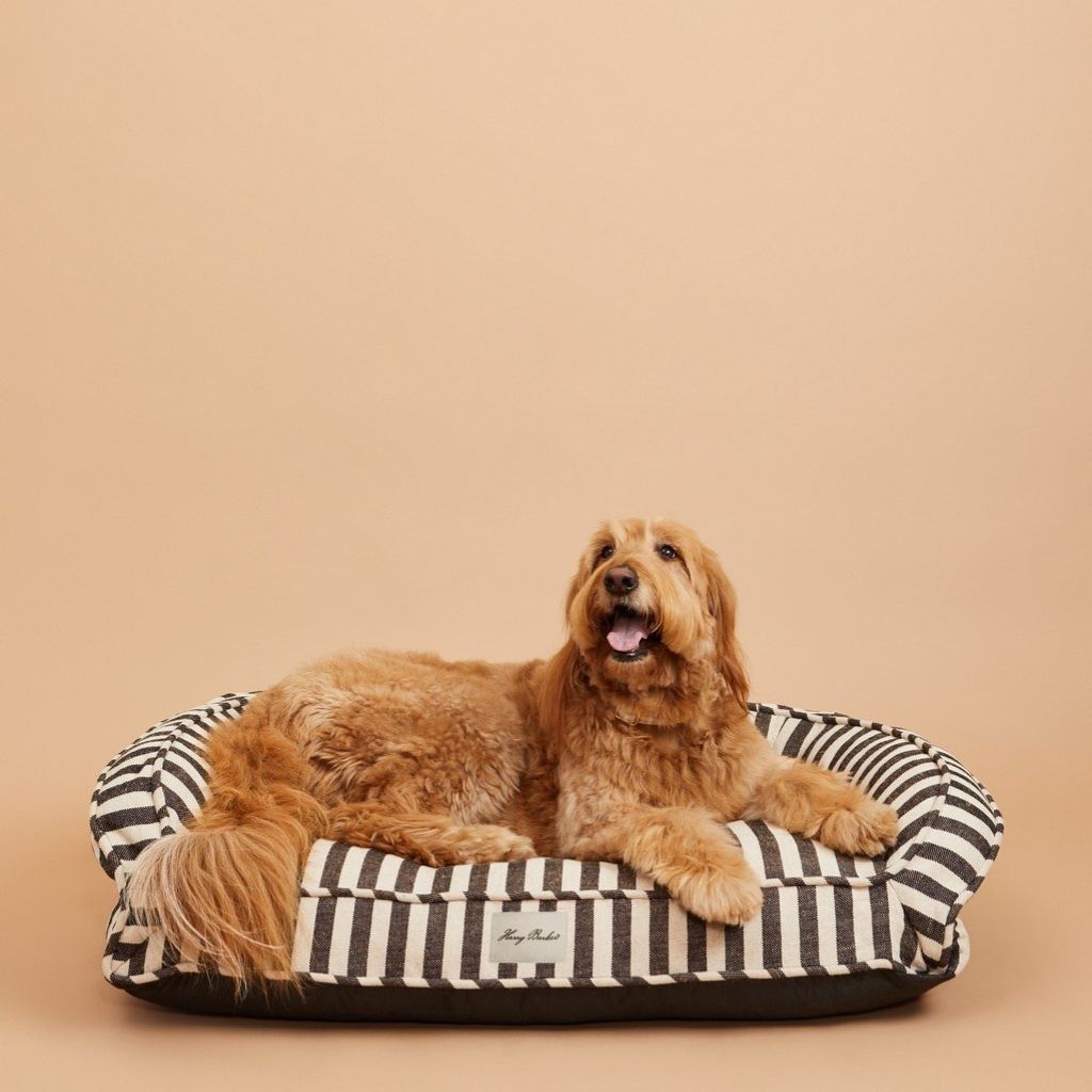 Harry Barker Vintage Stripe Ortho Lounger Dog Bed 3