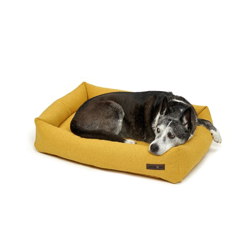 Jax & Bones Cordova Memory Foam Cuddler dog Bed limon yellow image 2