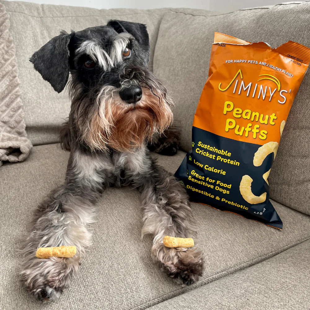 Jiminy's Peanut Puff treats made from sustainable cricket protein. Available at organicpetboutique.com