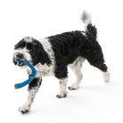 West Paw Snorkl Seaflex Dog Toy surf