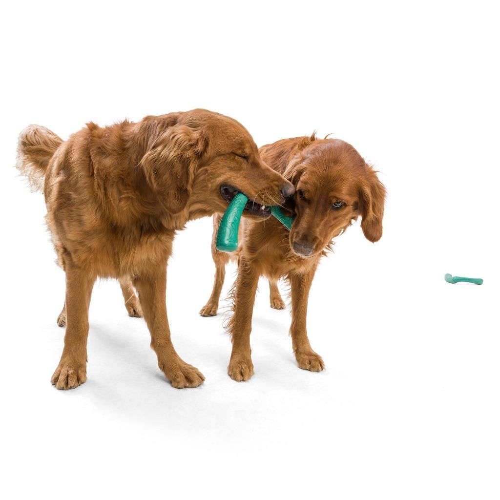West Paw Snorkl Seaflex Dog Toy emerald 2