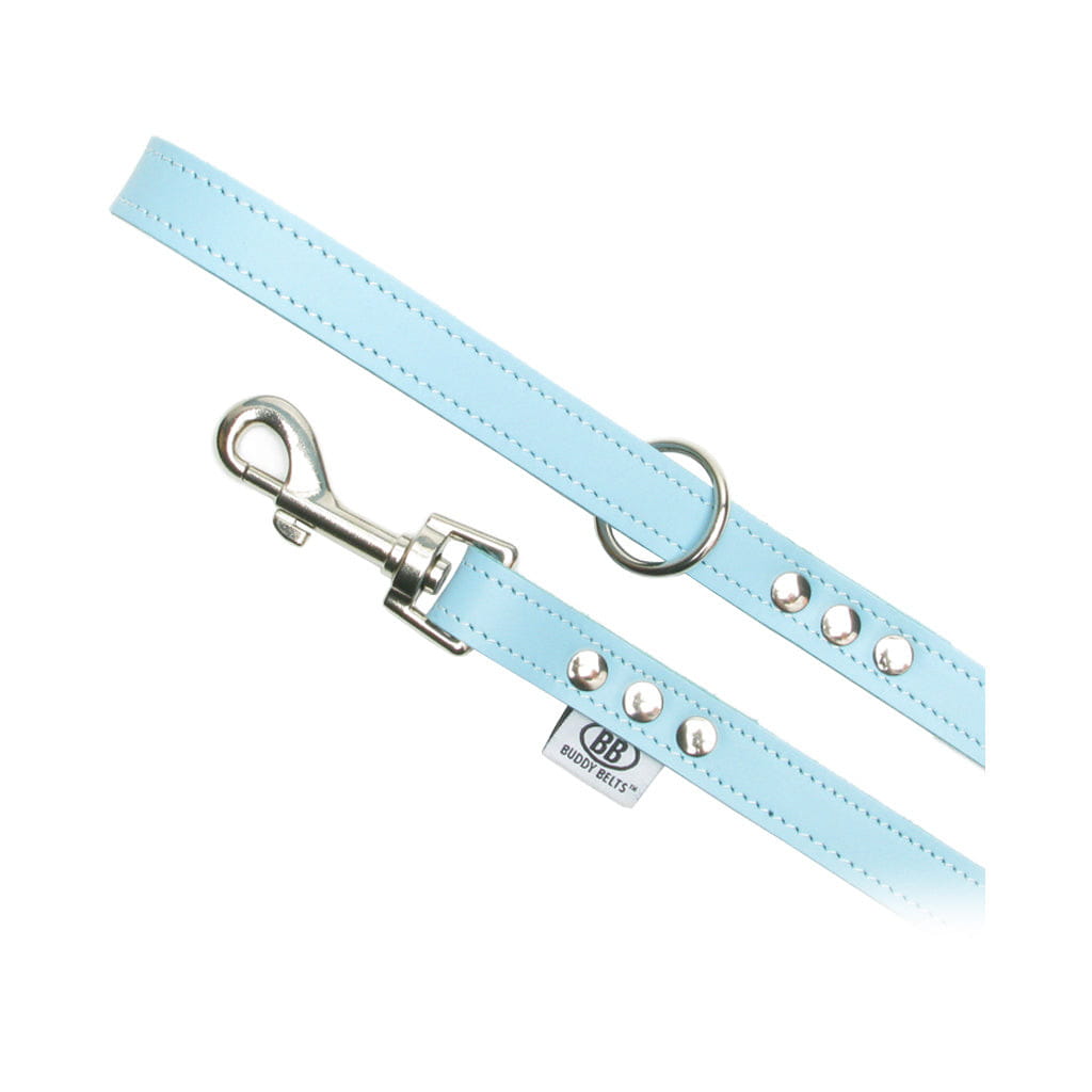 Buddy Belts Premium Dog Leash blue