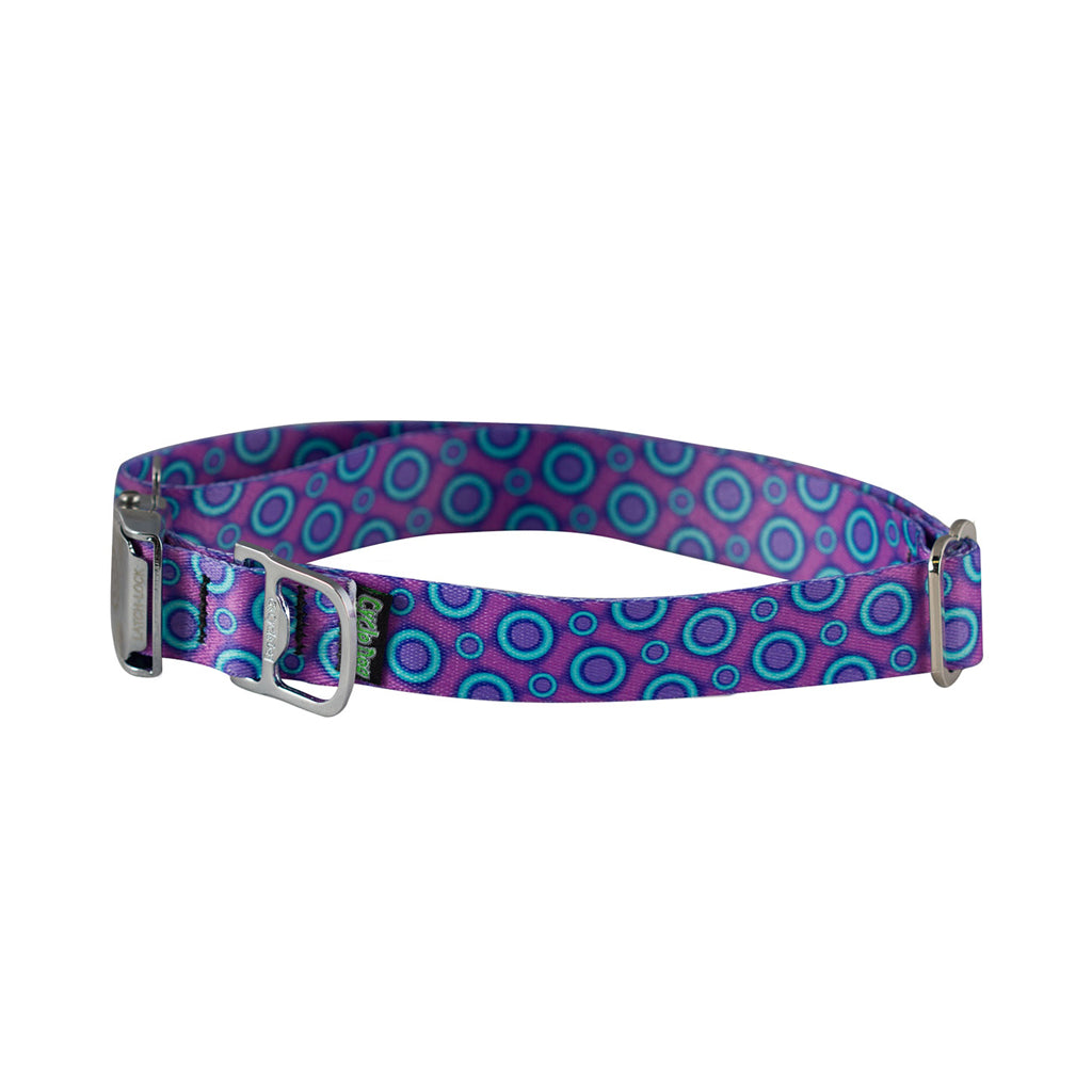 Cycle Dog Ecoweave Collar 5