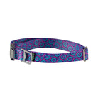 Cycle Dog Ecoweave Collar 5