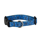 Cycle Dog Ecoweave Collar 2
