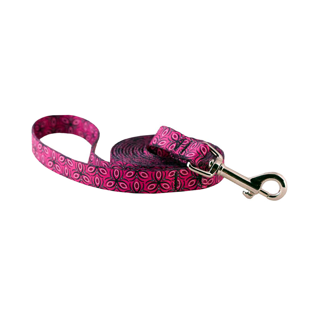 Cycle Dog Ecoweave Leash 3