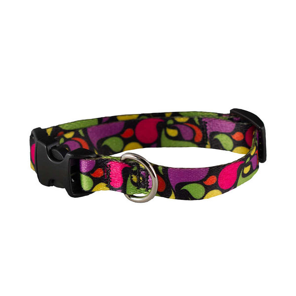 ITS DOG Organic All-In-One Quilted Neck Collar