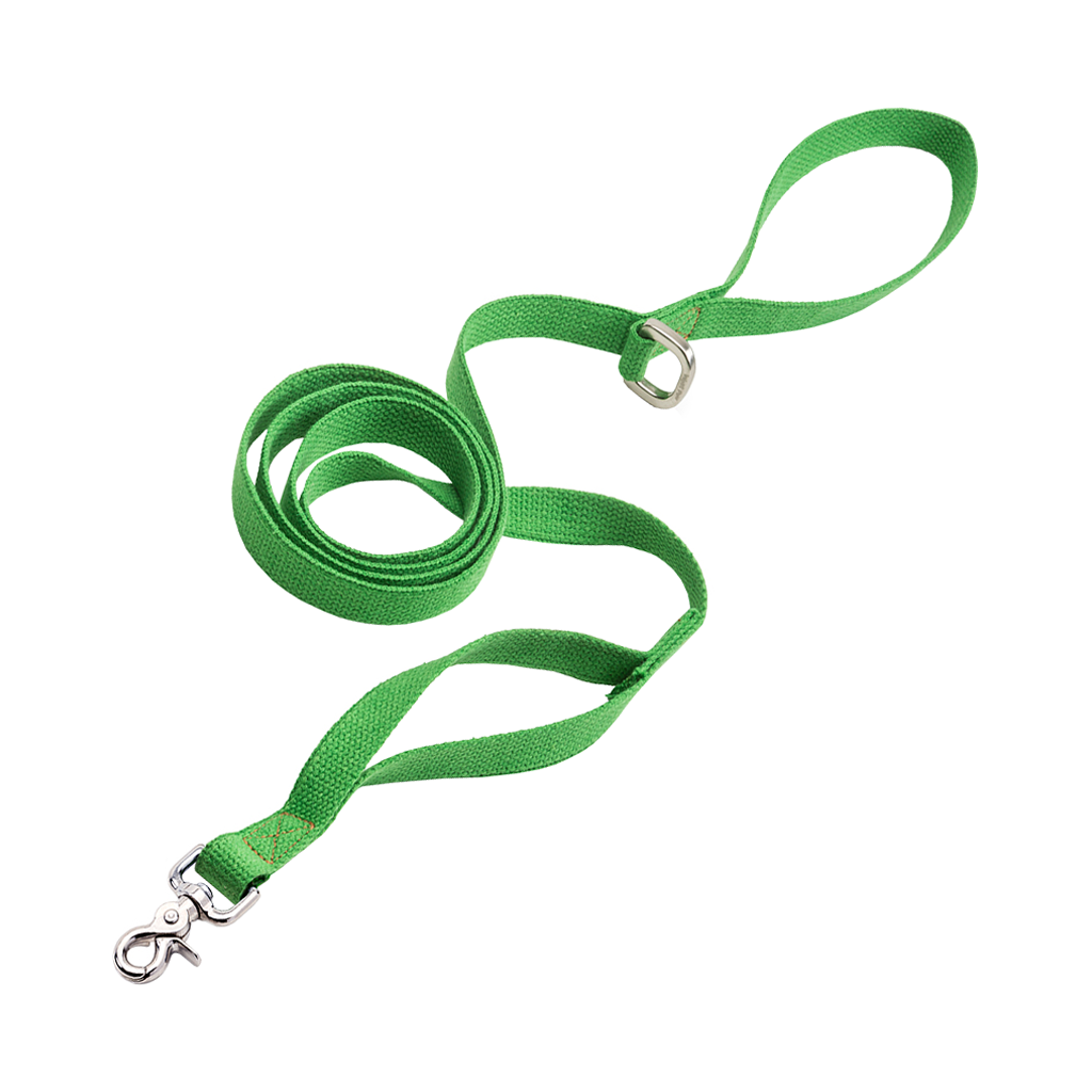 West Paw Strolls Dog Leash Green