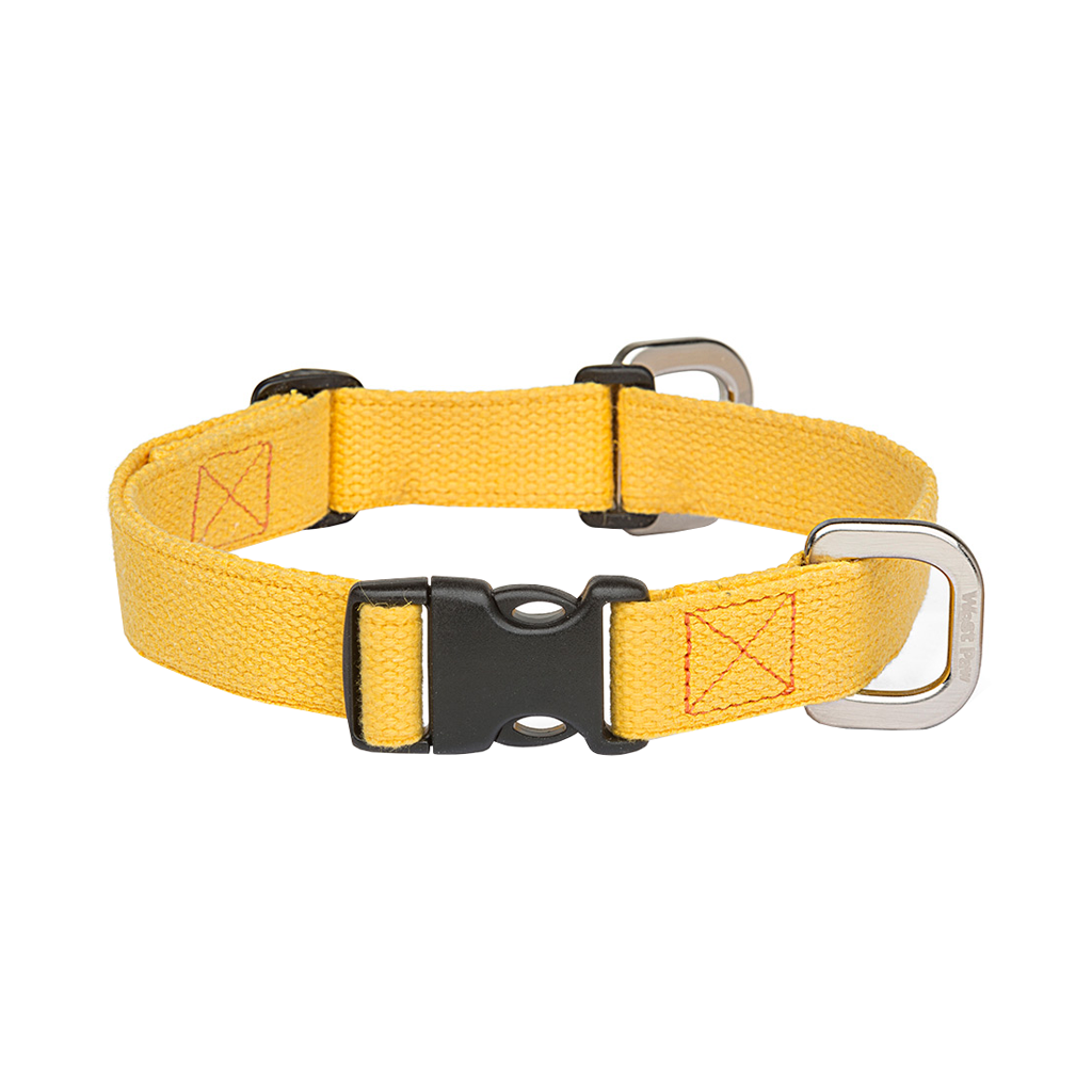 West Paw Strolls Dog Collar Yellow